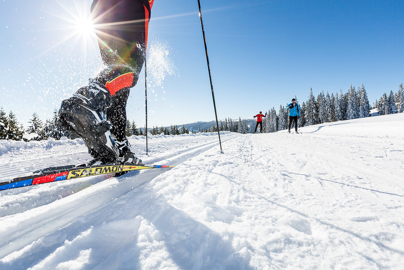 Langläufer auf verschneiter Loipe bei strahlendem Wintersonnenschein