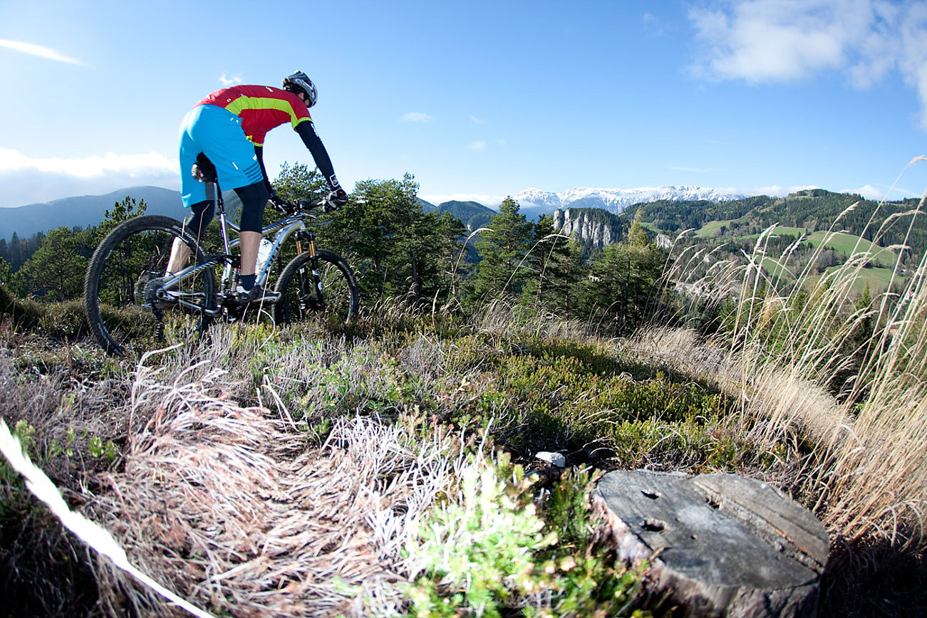 Mountainbiker auf einem malerischen Pfad mit Wald und schneebedeckten Gipfeln im Hintergrund