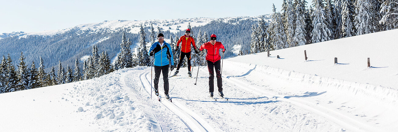 Langlaufen in der verschneiten Natur am Schneeberg