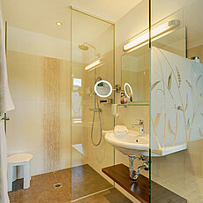 Modern walk-in shower bathroom with glass walls, rain shower, and wall-mounted sink