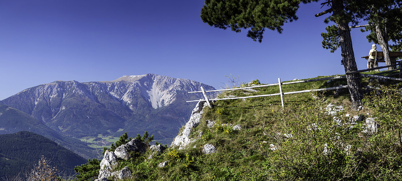 Bergpanorama mit grünem Tal und Person auf Bank am Waldrand
