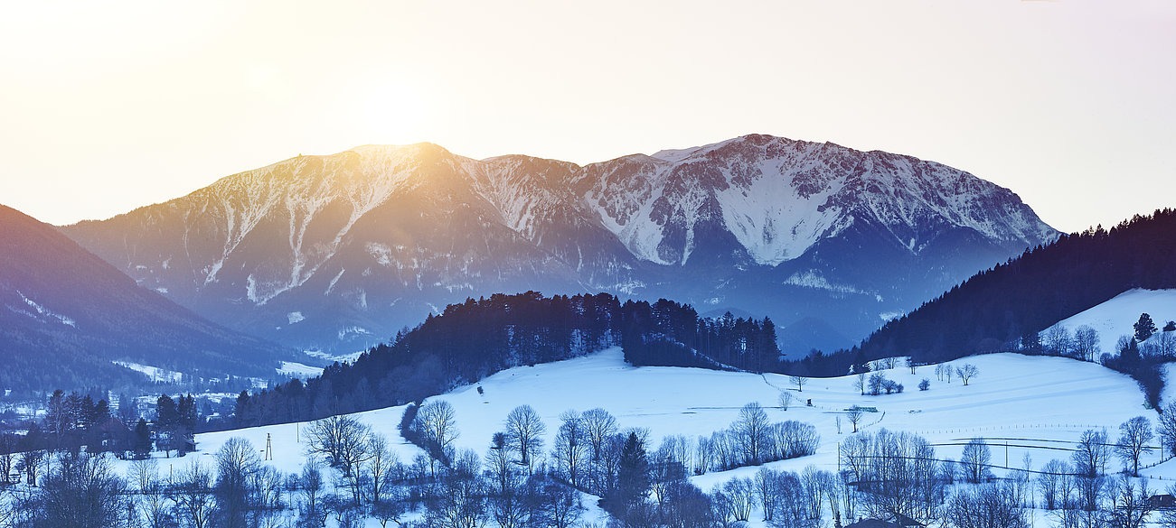 Verschneite Berglandschaft bei Sonnenaufgang mit Bäumen und Hügeln im Vordergrund