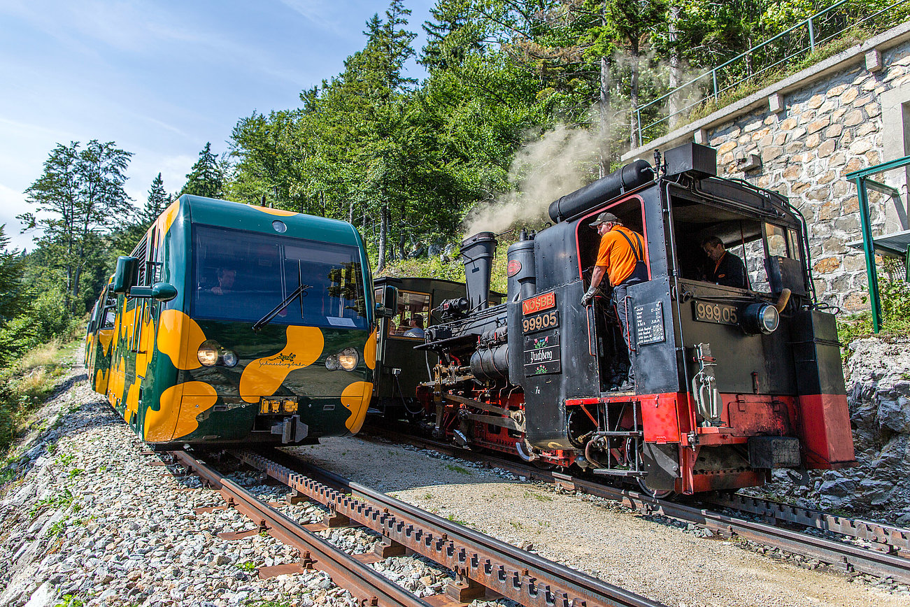 Moderner grüner Triebwagen passiert historische Dampflok auf Gebirgsbahnstrecke