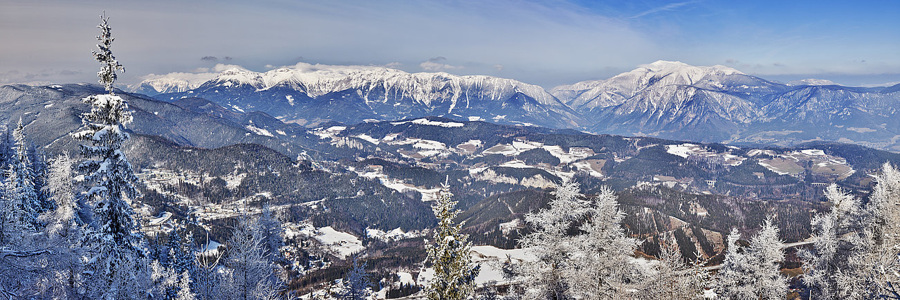 Snow-covered alpine landscape with pine trees and mountain range under clear blue sky