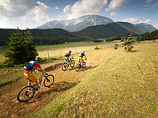 Drei Mountainbiker auf einem grasigen Pfad vor alpiner Bergkulisse unterwegs