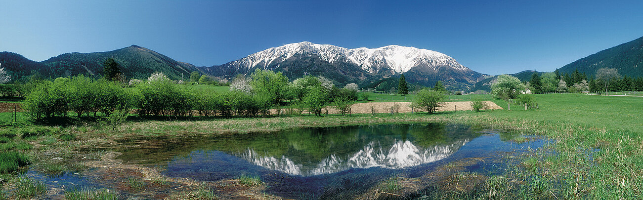 Schneebedeckte Alpen spiegeln sich in einem Teich mit grüner Wiese und Bäumen im Frühling