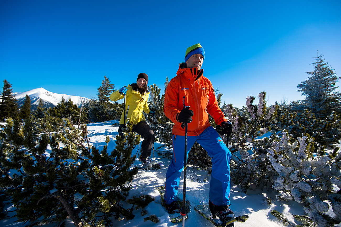 Paar beim Schneeschuhwandern durch verschneiten Bergwald unter klarem blauen Himmel