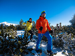 Paar beim Schneeschuhwandern durch verschneiten Bergwald unter klarem blauen Himmel